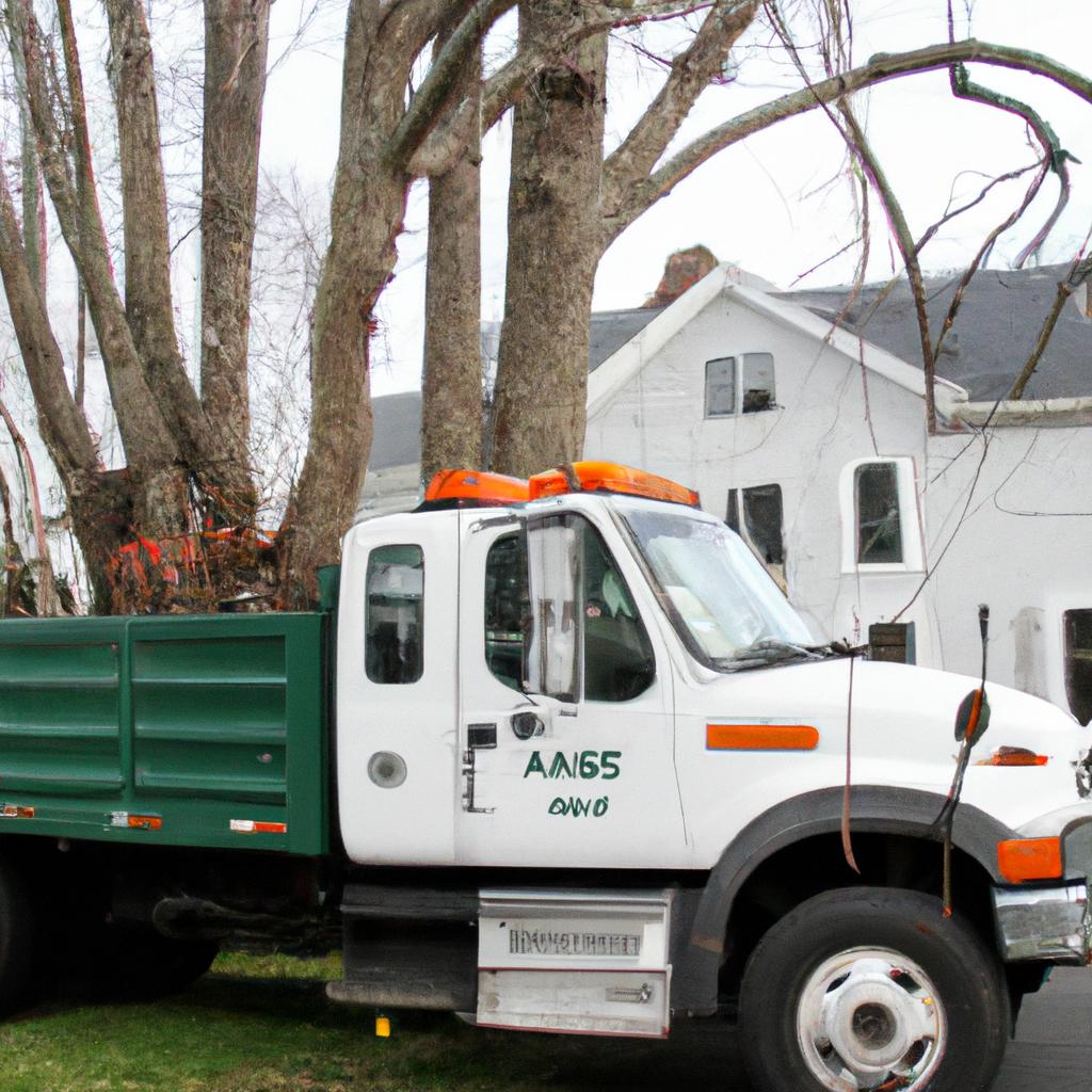 Tree service truck offering top-notch tree care in Danbury, CT.